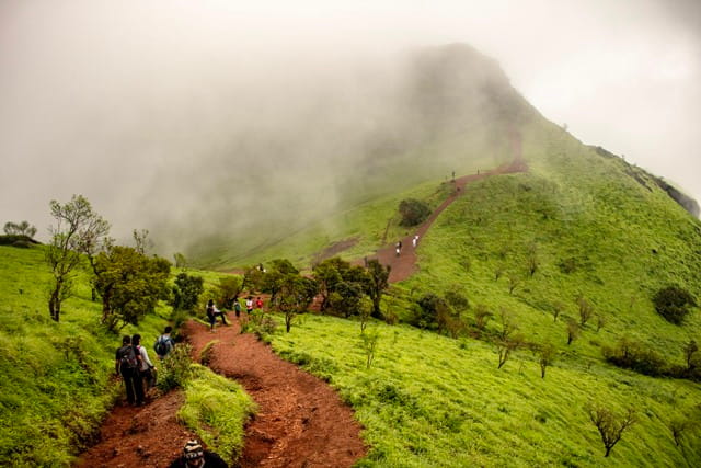 Kodachadri Trek & Sightseeing
