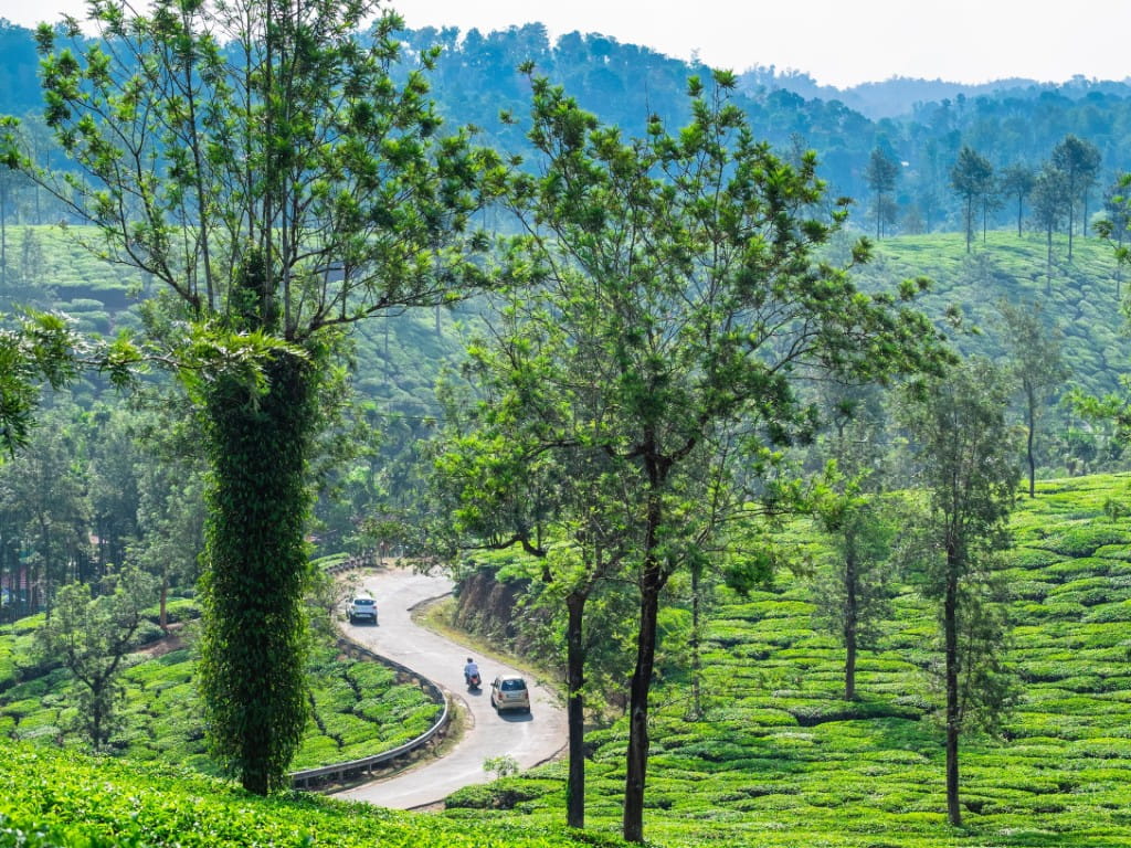 Wayanad Backpacking Trip